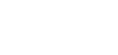 20 STM
