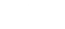 Big Company