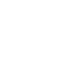 Filmakers Monkeys