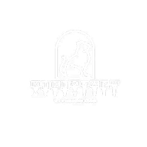 KIDDIGRAPH STUDIO